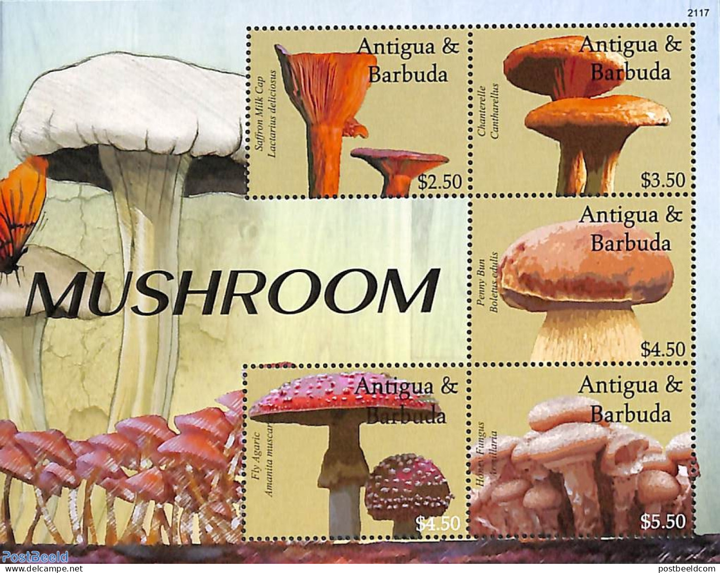 Antigua & Barbuda 2021 Mushrooms 5v M/s, Mint NH, Nature - Mushrooms - Champignons
