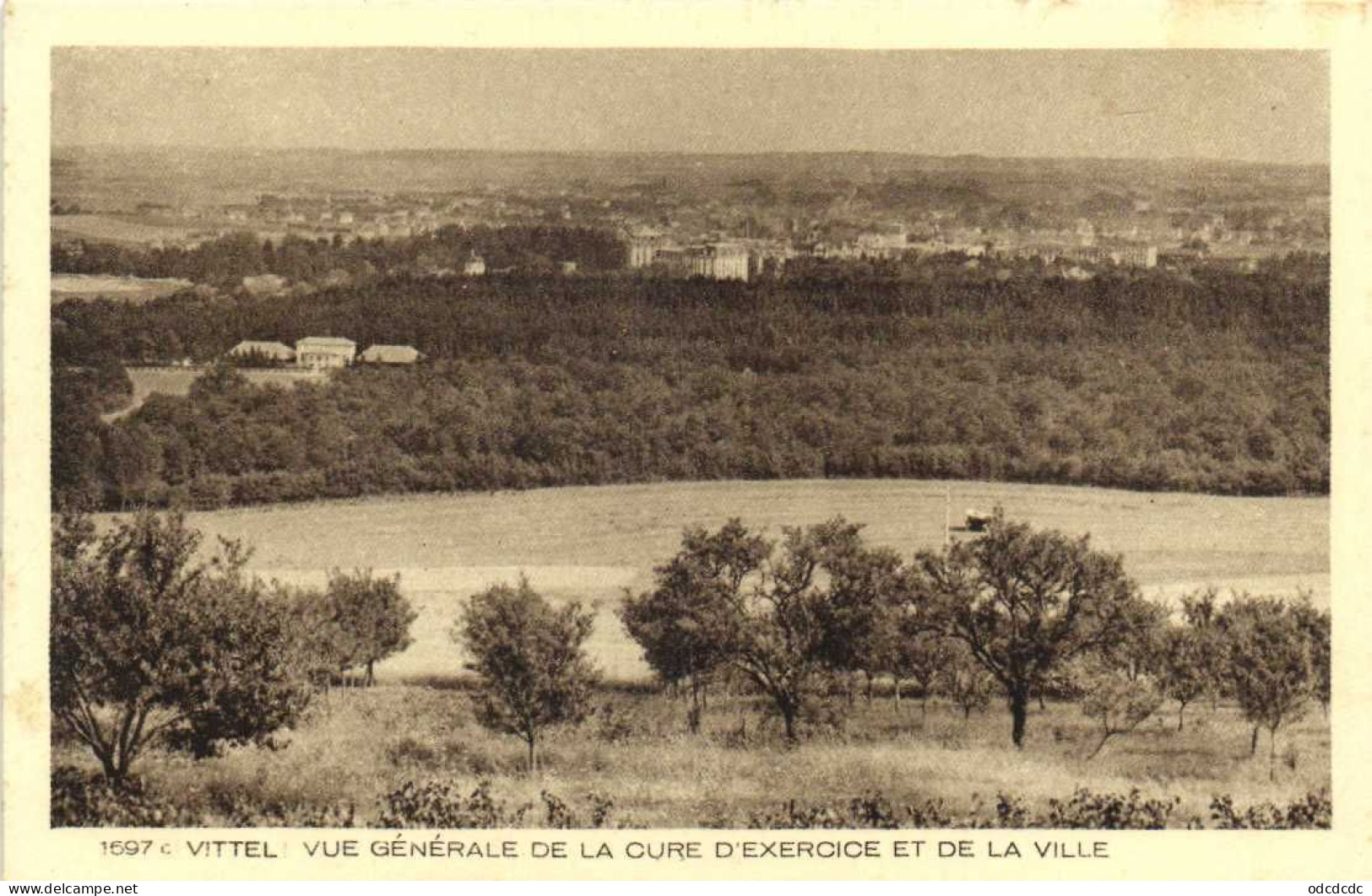 BON LOT 65 CPA  VITTEL  Toutes scannées