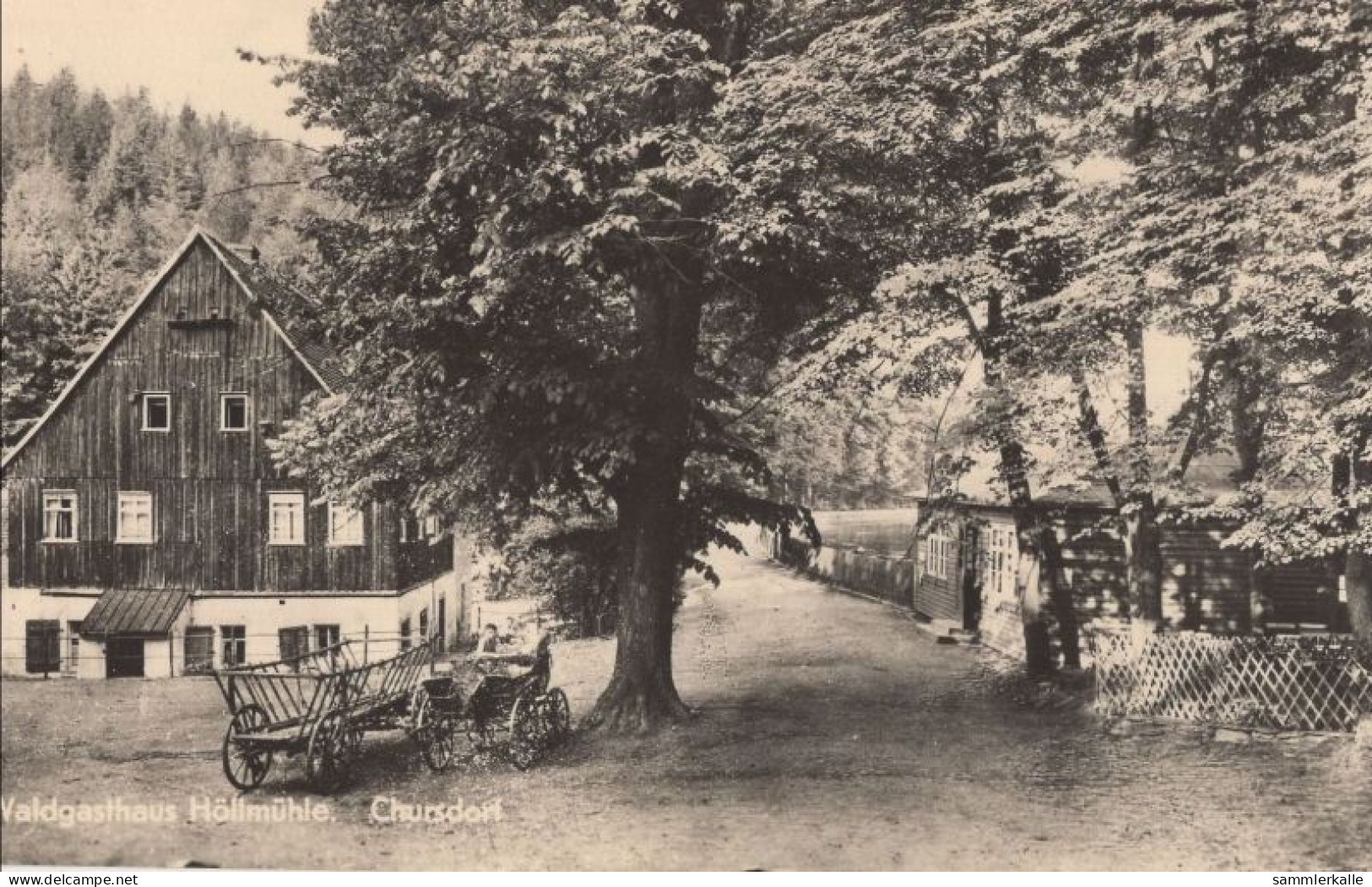 134247 - Chursdorf Bei Schleiz - Waldgasthaus Höllmühle - Penig