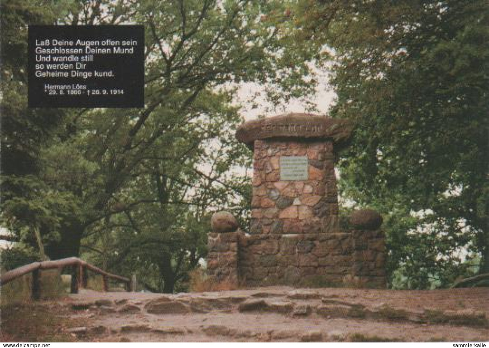 900 - Walsrode - Tietlinger Wacholderpark Zwischen Fallingbostel/Walsrode I.d. Lüneburger Heide - 1991 - Lüneburger Heide