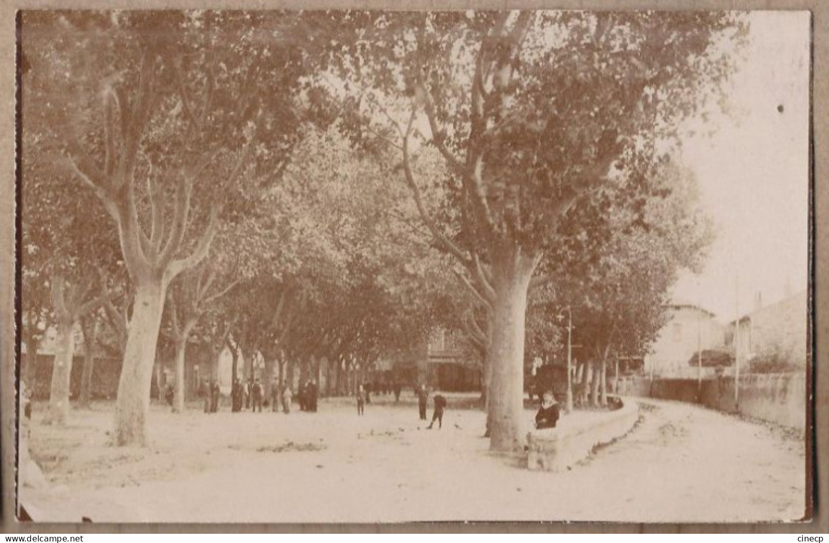 CARTE PHOTO CPA PHOTO 26 DONZERE - TB PLAN Place CENTRE Arbres + ANIMATION Joueurs De Boules ? Pétanque ? - Donzere