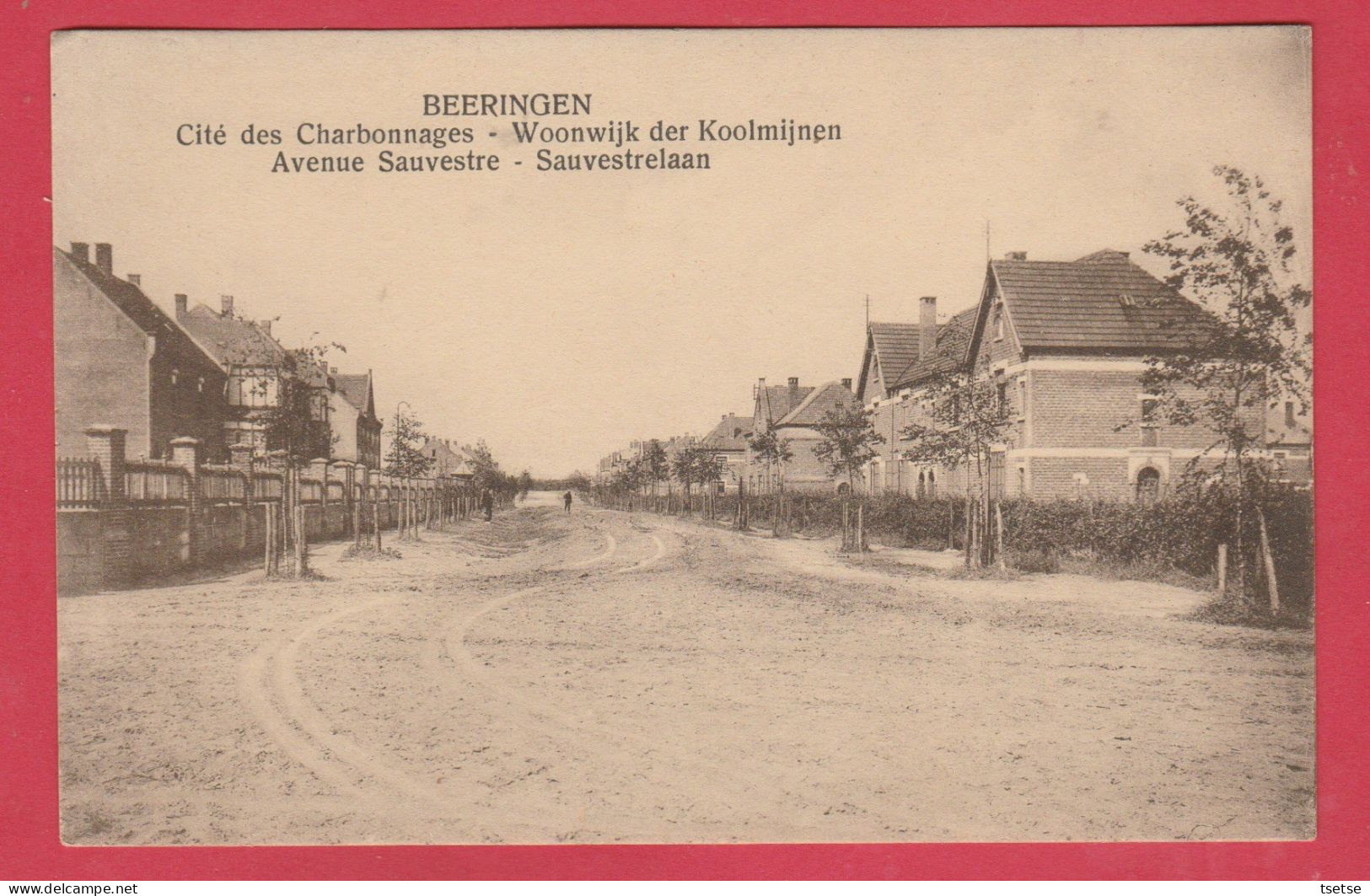 Beringen - Woonwijk Der Koolmijnen - Sauvestrelaan ( Verso Zien ) - Beringen