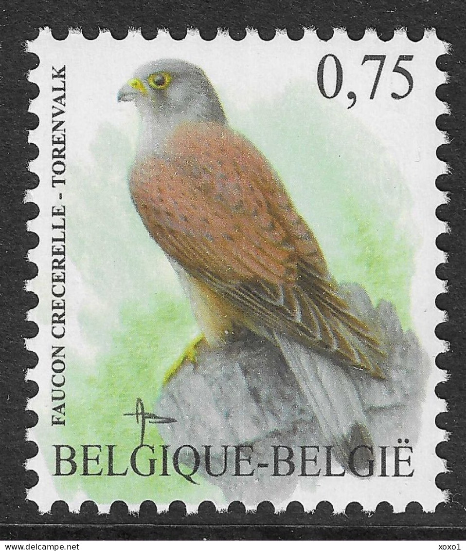 Belgium 2007 MiNr. 3665 Belgien Birds Buzin  Common Kestrel  1v MNH** 2.00€ - Águilas & Aves De Presa