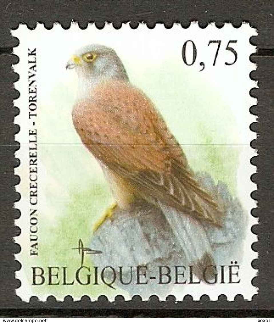 Belgium 2007 MiNr. 3665 Belgien Birds Buzin  Common Kestrel  1v MNH** 2.00€ - Eagles & Birds Of Prey