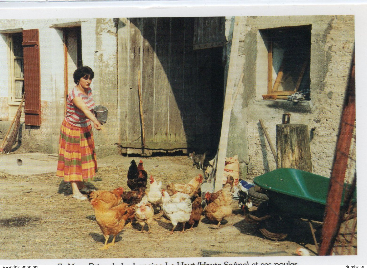 Agriculture Agricole Animée Madame Brice Et Ses Poules Coqs Vollailles - Elevage