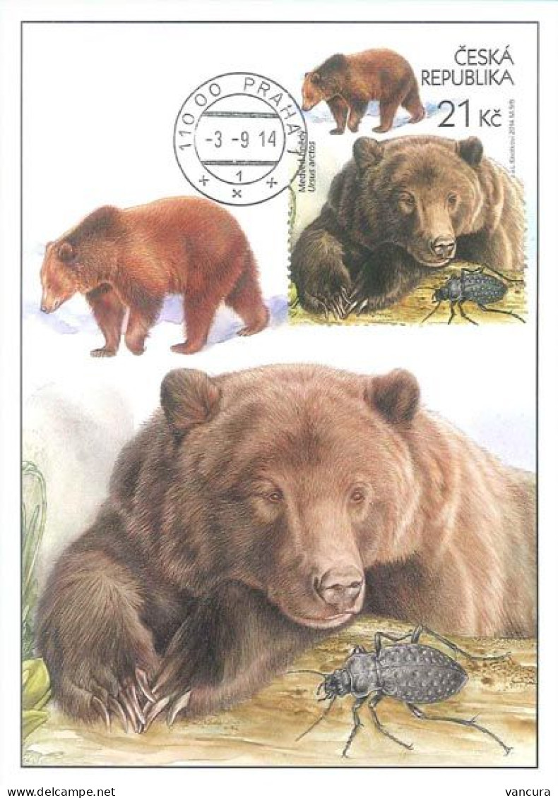 CM 816 Czech Republic The Beskids Region Bear 2014 - Bears