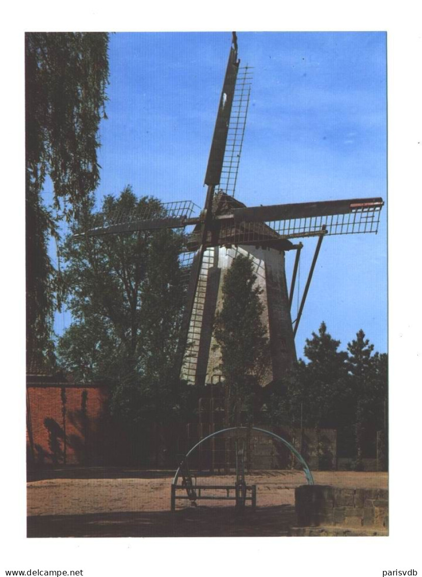 SINT-NIKLAAS - WITTE MOLEN  (1896) - Sint-Niklaas