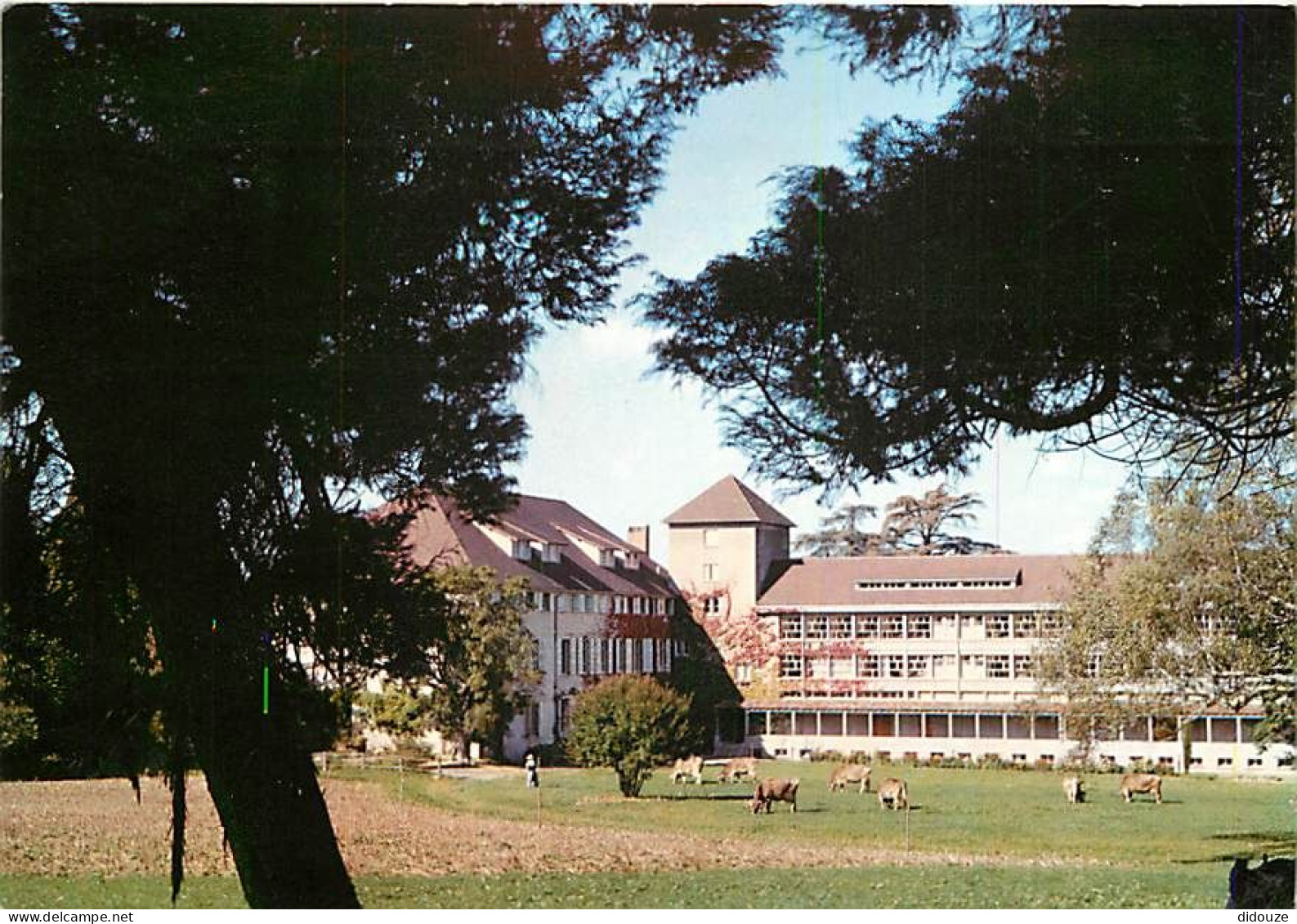 65 - Tournay - Abbaye Bénédictine D'Ozon - En Clôture - CPM - Voir Scans Recto-Verso - Tournay