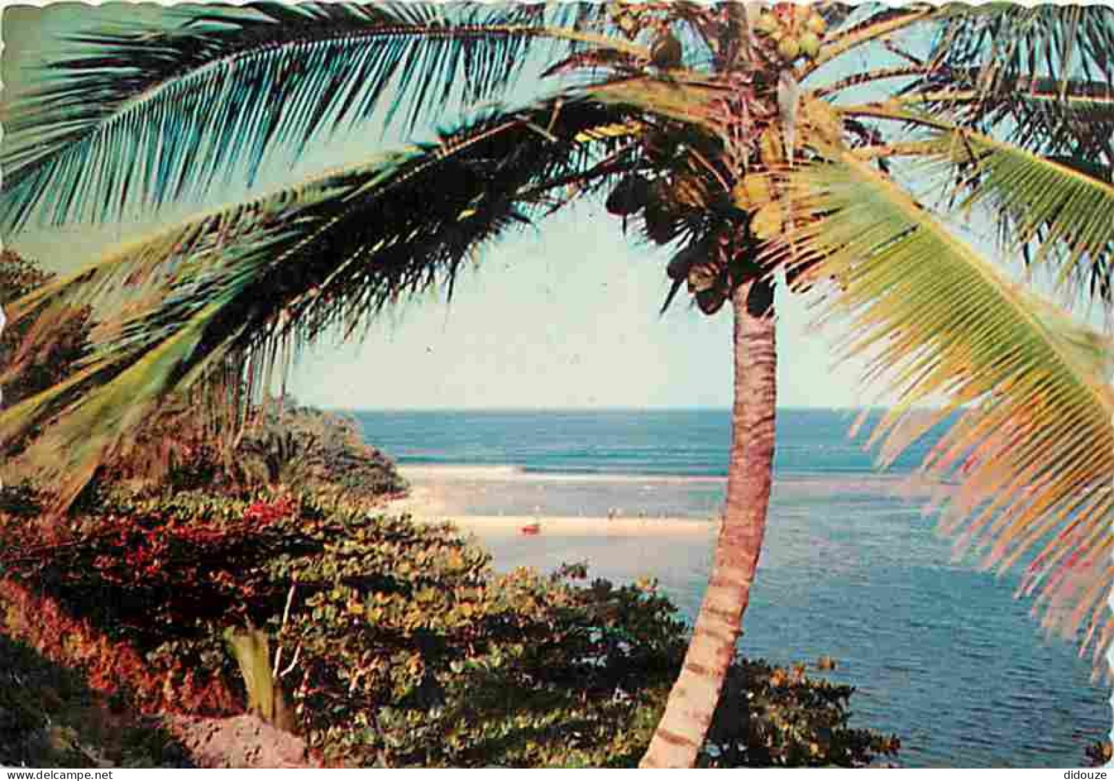 Antilles - Paisible Cote Antillaise - CPM - Voir Scans Recto-Verso - Sonstige & Ohne Zuordnung