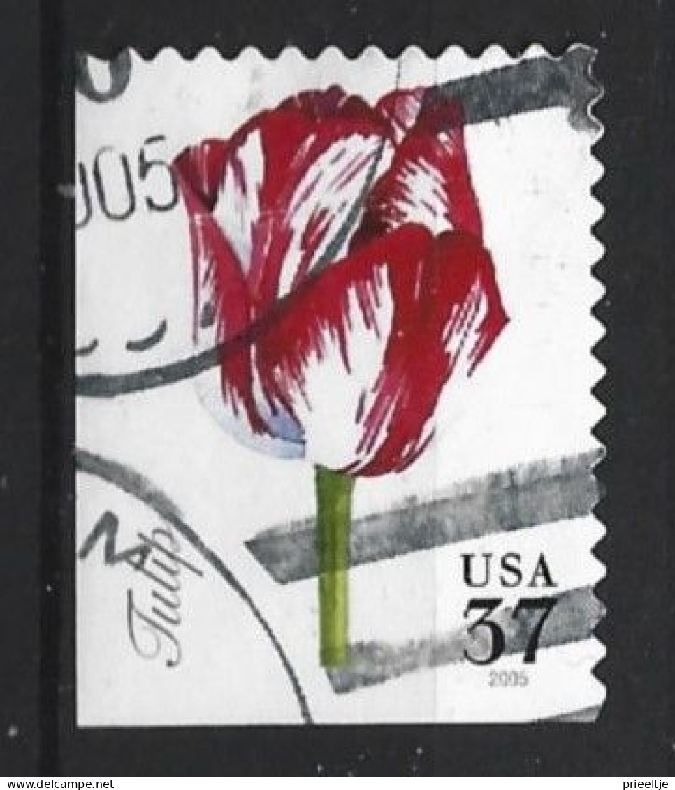 USA 2005 Flower  Y.T. 3641 (0) - Used Stamps