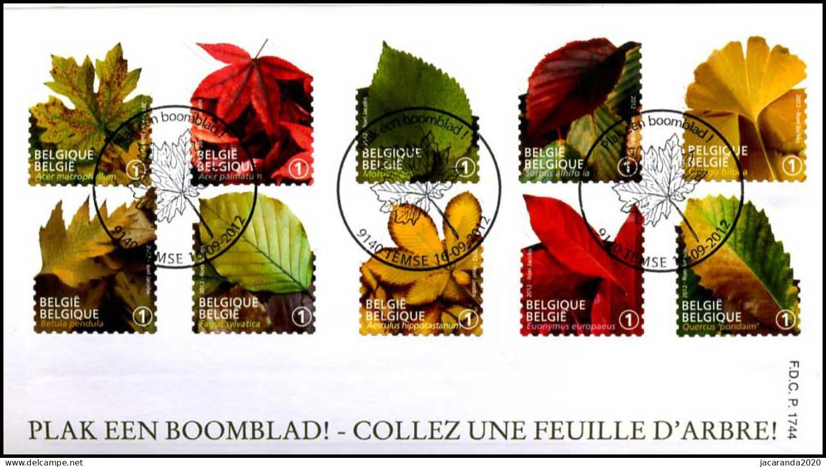 4268/77 - FDC - Plak Een Boomblad P1744 - 2011-2014