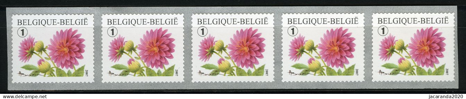 België R112 - Bloemen - Buzin (3684) - Dahlia - 2007 - Strook Van 5 - Bande De 5  - Coil Stamps