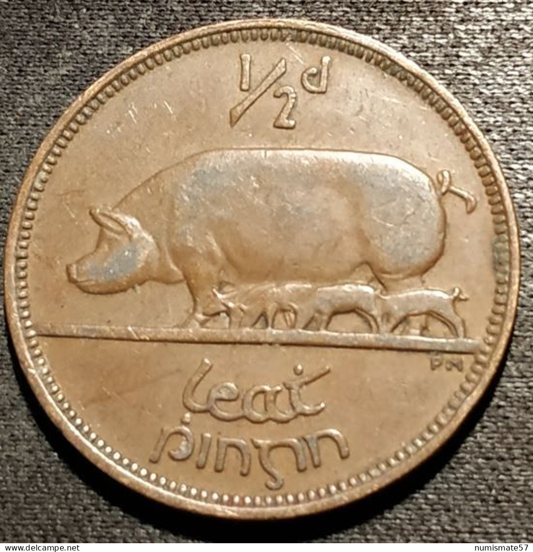 IRLANDE - EIRE - ½ - 1/2 PINGIN 1928 - KM 2 - PENNY - Cochon - Pig - IRELAND - Irlanda