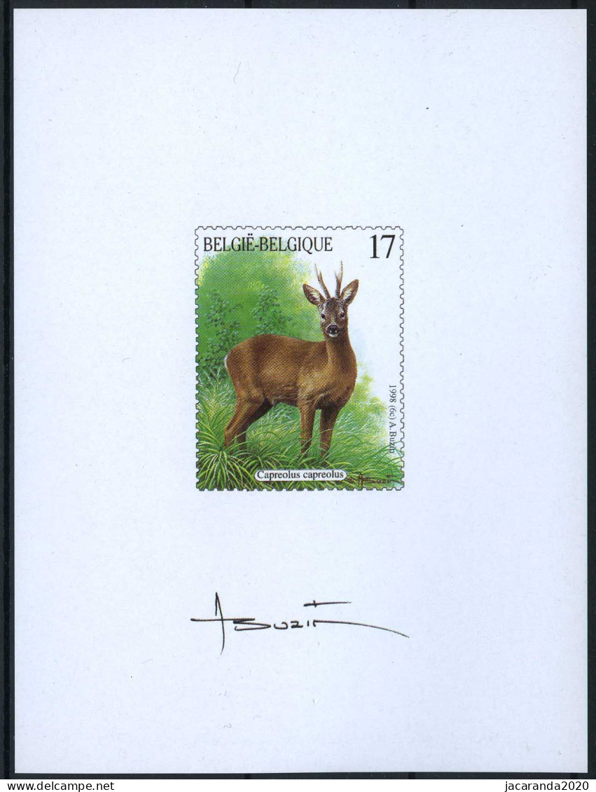 België NA5-FR - Natuur - Zoogdieren Van De Ardennen - André Buzin - Mammifères Des Ardennes - 1998 - Abgelehnte Entwürfe [NA]