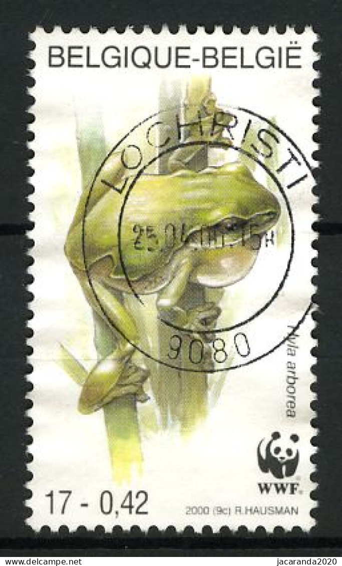 België 2898 - WWF - Boomkikker - Rainette Arboricole - Gestempeld - Oblitéré - Used - Used Stamps