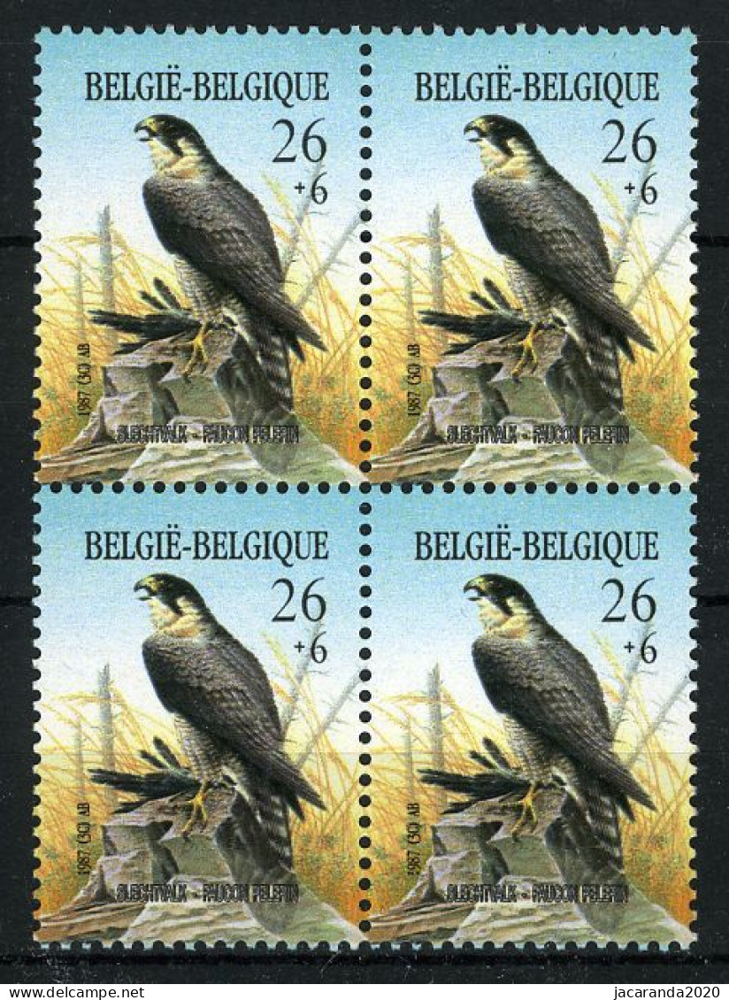 België 2246 - Vogels - Europees Jaar Van Het Milieu - André Buzin - Slechtvalk - Faucon Pélerin - MNH - Adler & Greifvögel
