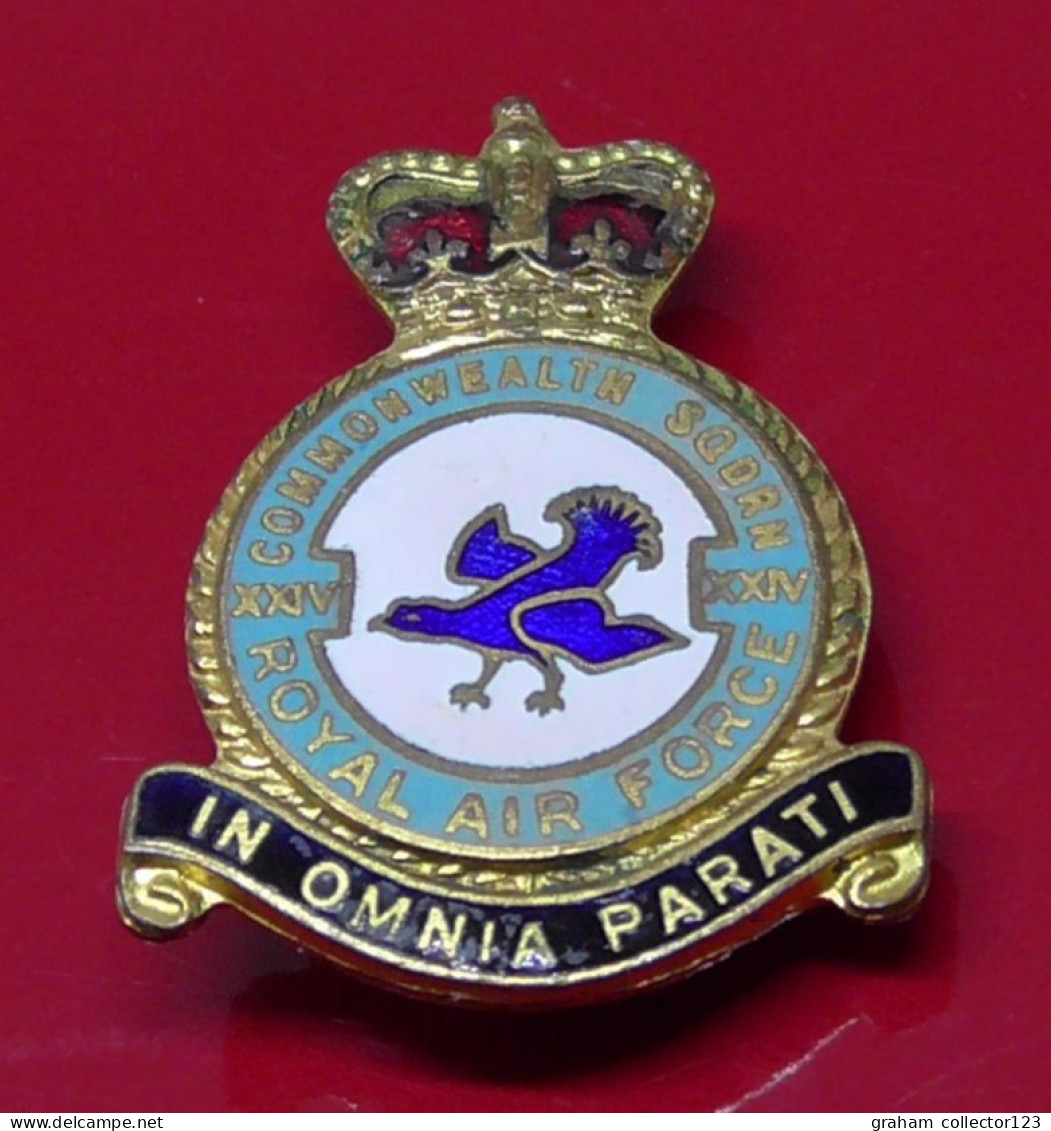 Small Enamel And Metal Pin Badge Royal Airforce RAF No 24 XXIV Commonwealth Squadron Queens Crown HW Miller Birmingham - Aerei