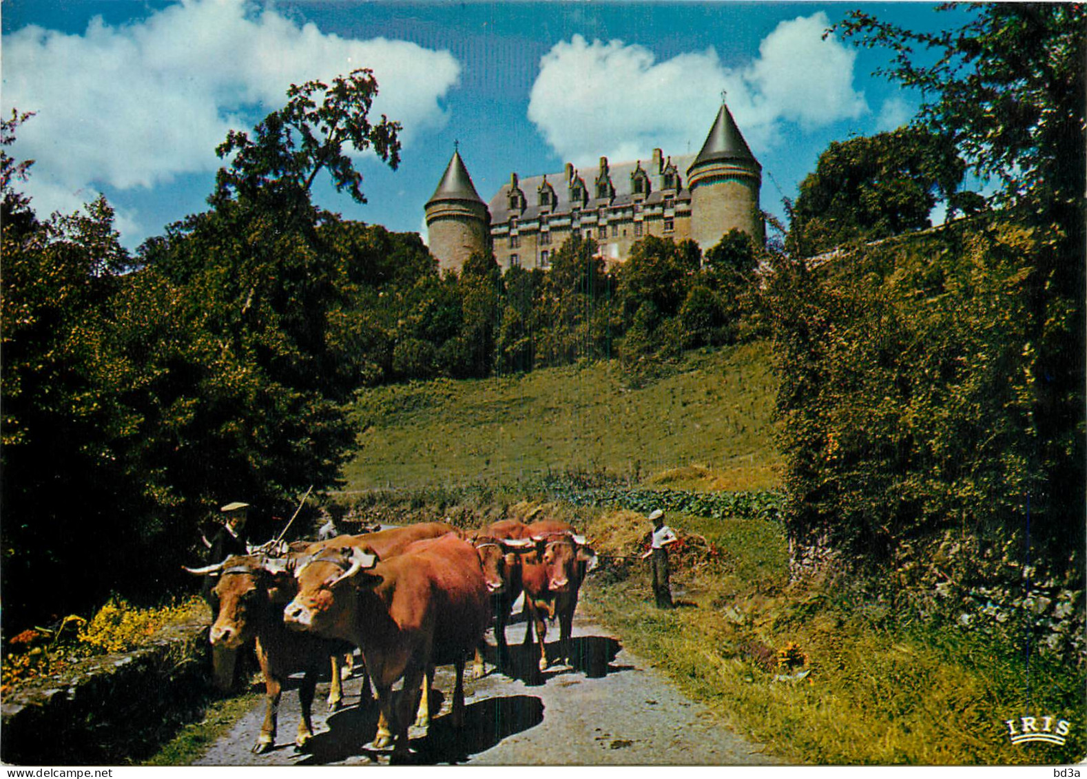 87 - CHÂTEAU DE ROCHECHOUART TROUPEAU DE VACHES - Rochechouart