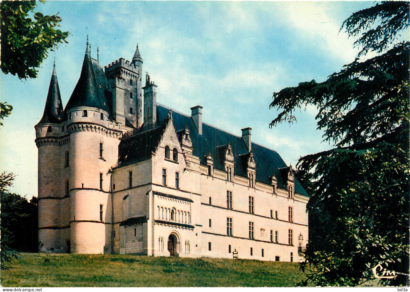 86 - VOUNEUIL SUR VIENNE  LE CHÂTEAU  - Vouneuil Sur Vienne