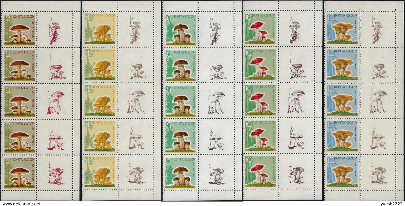 URSS 1964 Y&T 2880 à 2884 Michel 2983y à 2987y Papier Laqué. Bandes De 5 Avec 5 Vignettes Différentes. Champignons - Champignons