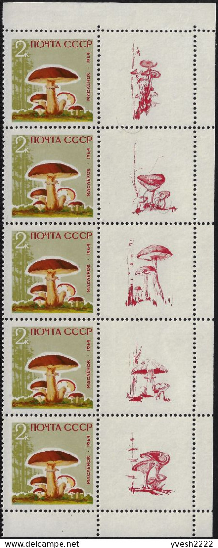 URSS 1964 Y&T 2880 à 2884 Michel 2983y à 2987y Papier Laqué. Bandes De 5 Avec 5 Vignettes Différentes. Champignons - Champignons