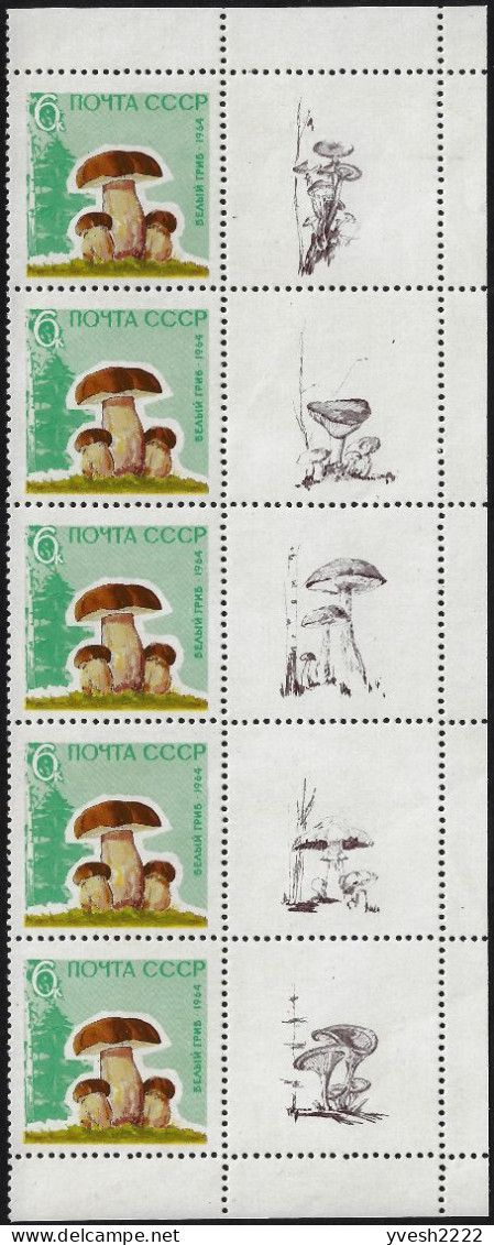 URSS 1964 Y&T 2880 à 2884 Michel 2983y à 2987y Papier Laqué. Bandes De 5 Avec 5 Vignettes Différentes. Champignons - Champignons