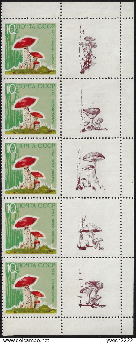 URSS 1964 Y&T 2880 à 2884 Michel 2983y à 2987y Papier Laqué. Bandes De 5 Avec 5 Vignettes Différentes. Champignons - Champignons