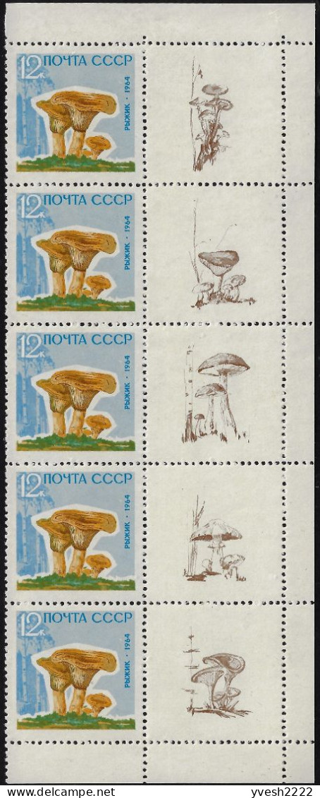 URSS 1964 Y&T 2880 à 2884 Michel 2983y à 2987y Papier Laqué. Bandes De 5 Avec 5 Vignettes Différentes. Champignons - Champignons