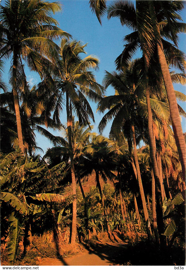 ILE DE LA REUNION SAINT PAUL - Saint Paul