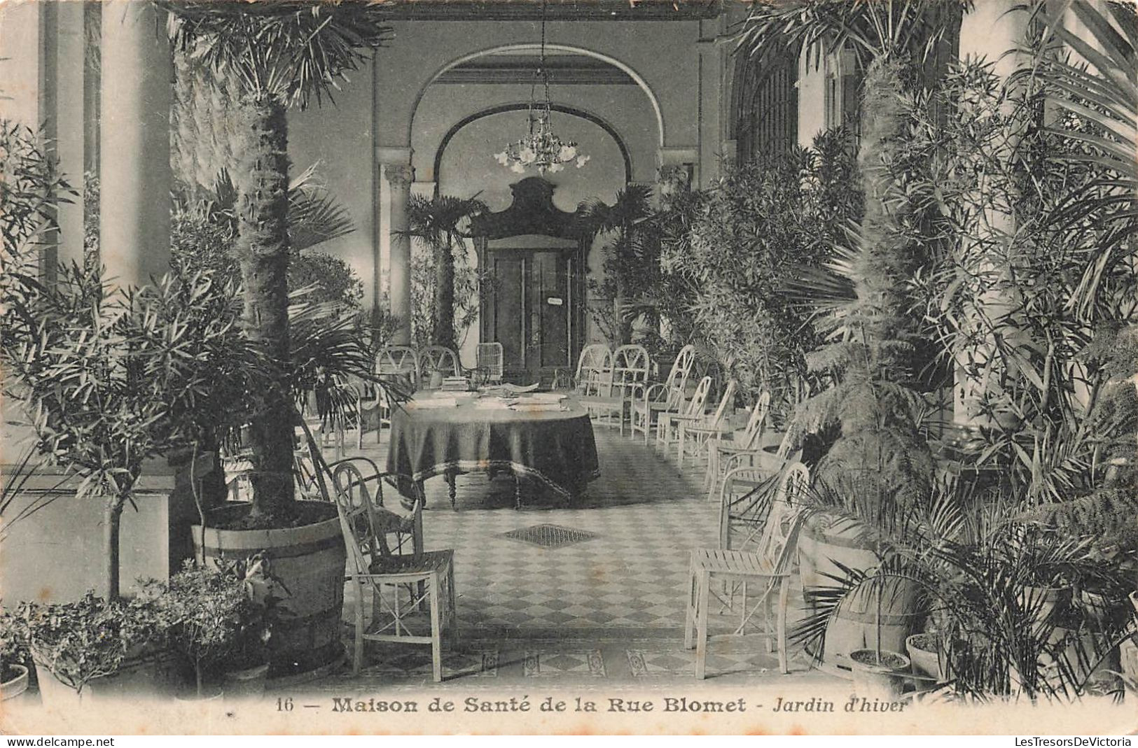 FRANCE - Paris - Maison De Santé De La Rue Blomet - Jardin D'hiver - Carte Postale Ancienne - District 15