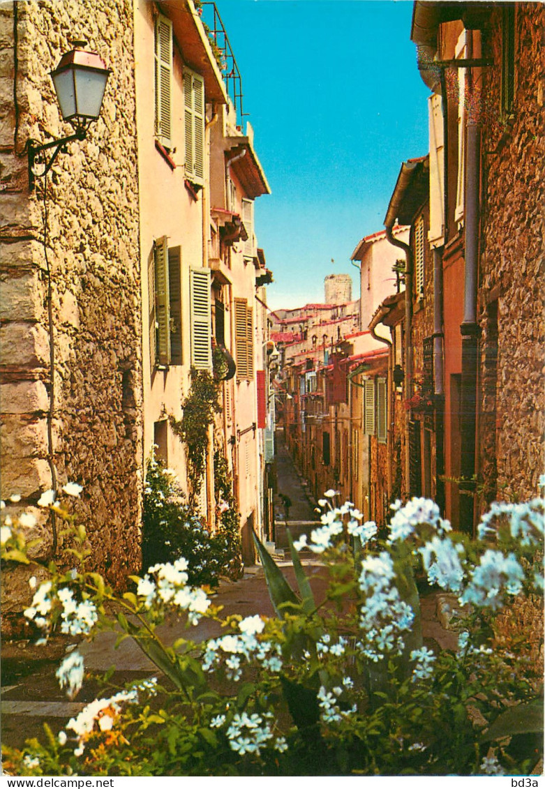 06 - ANTIBES - Antibes - Vieille Ville