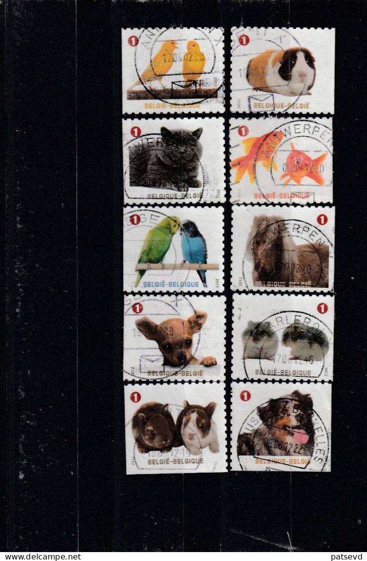 4230/4239 Animaux De Compagnie/Gezelschapsdieren Oblit/gestp Centrale - Oblitérés