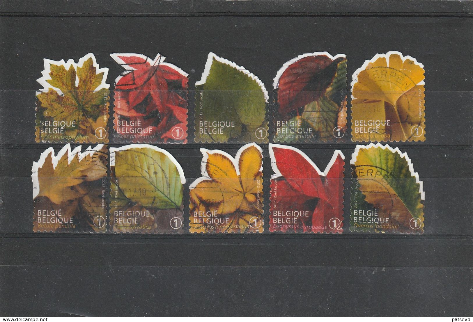 4268/4277 Feuille D'Arbre/Boombladeren Oblit/gestp - Used Stamps