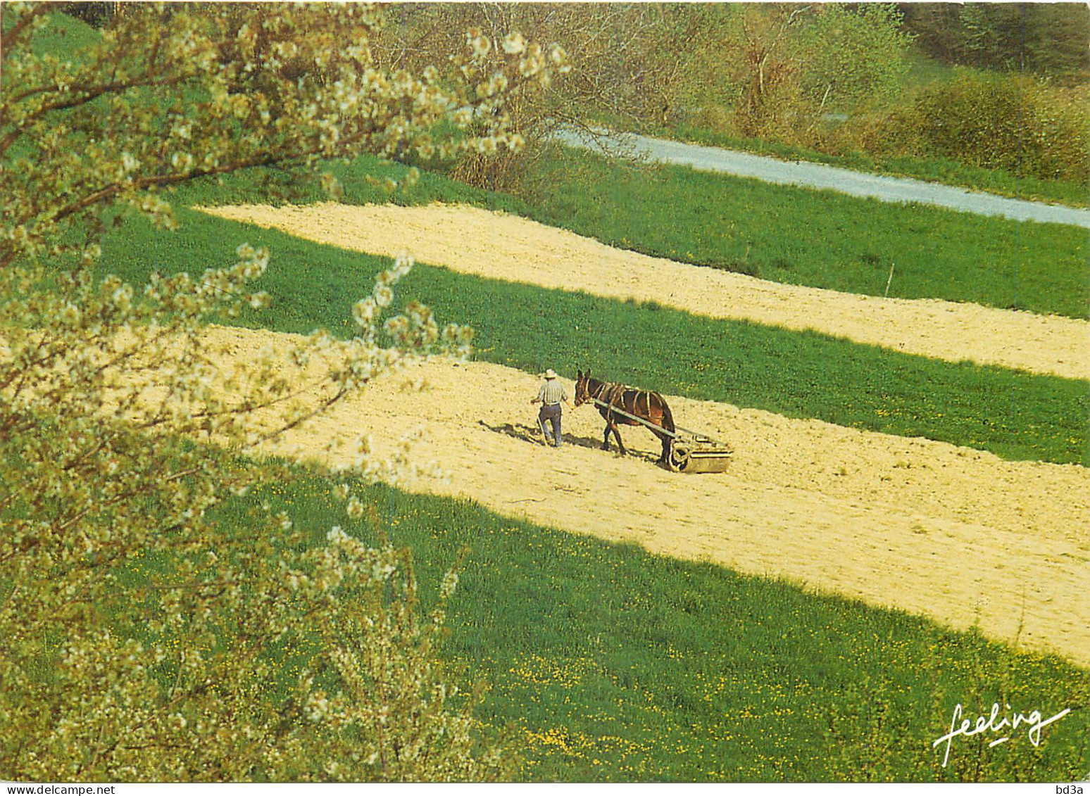 AGRICULTURE PLEIN CHAMP ATTELAGE - Attelages