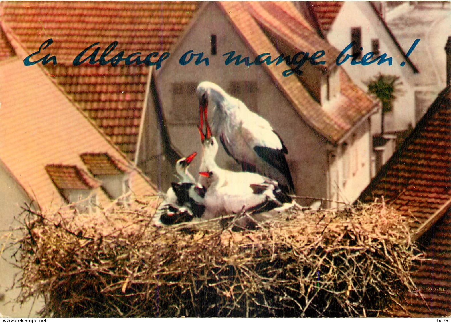 EN ALSACE CIGOGNE  - Alsace