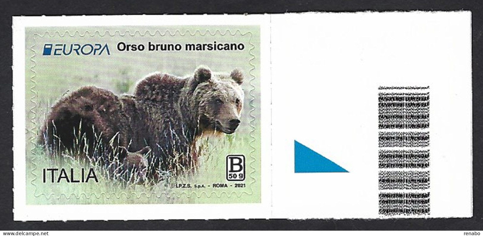 Italia, Italy, Italien, Italie 2021; Orso Bruno Marsicano B-50g, Marsican Brown Bear. - Ours