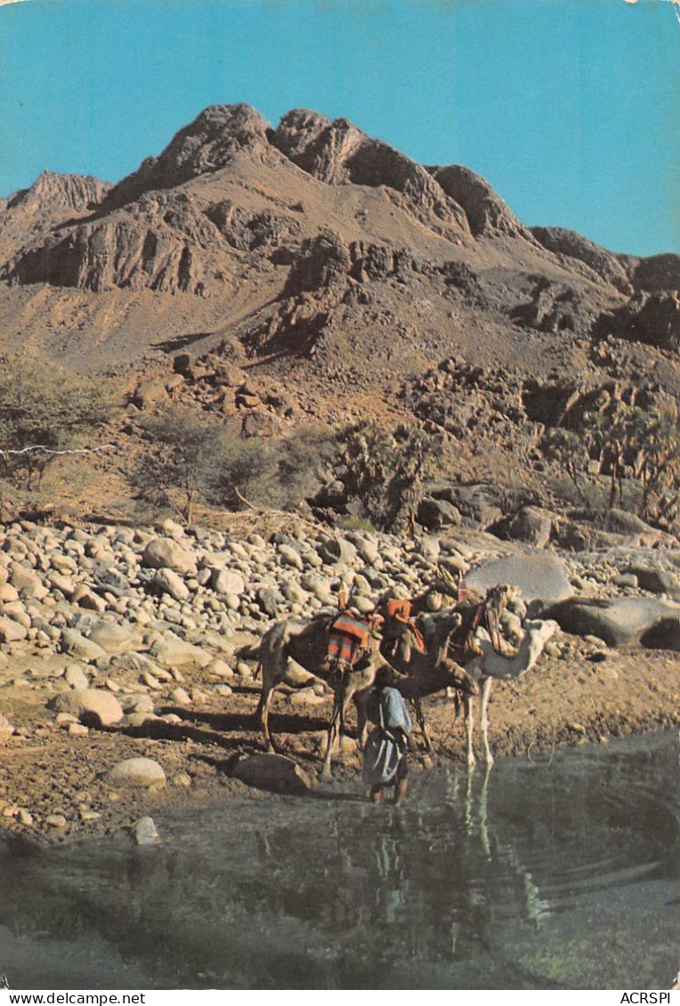 NIGER  Kori Des Monts Tamgak Guelta D'Abeloumat  N° 27   \ML4027 - Niger