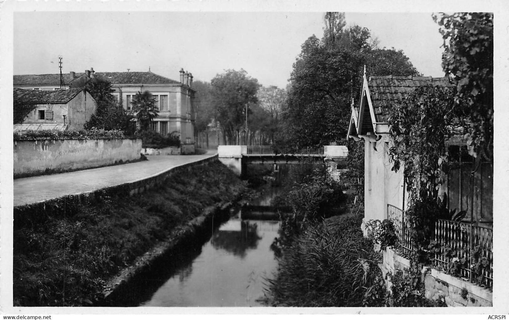 17  SAUJON Rue De La Seudre  (scans R/V) N° 52 \ML4060 - Saujon