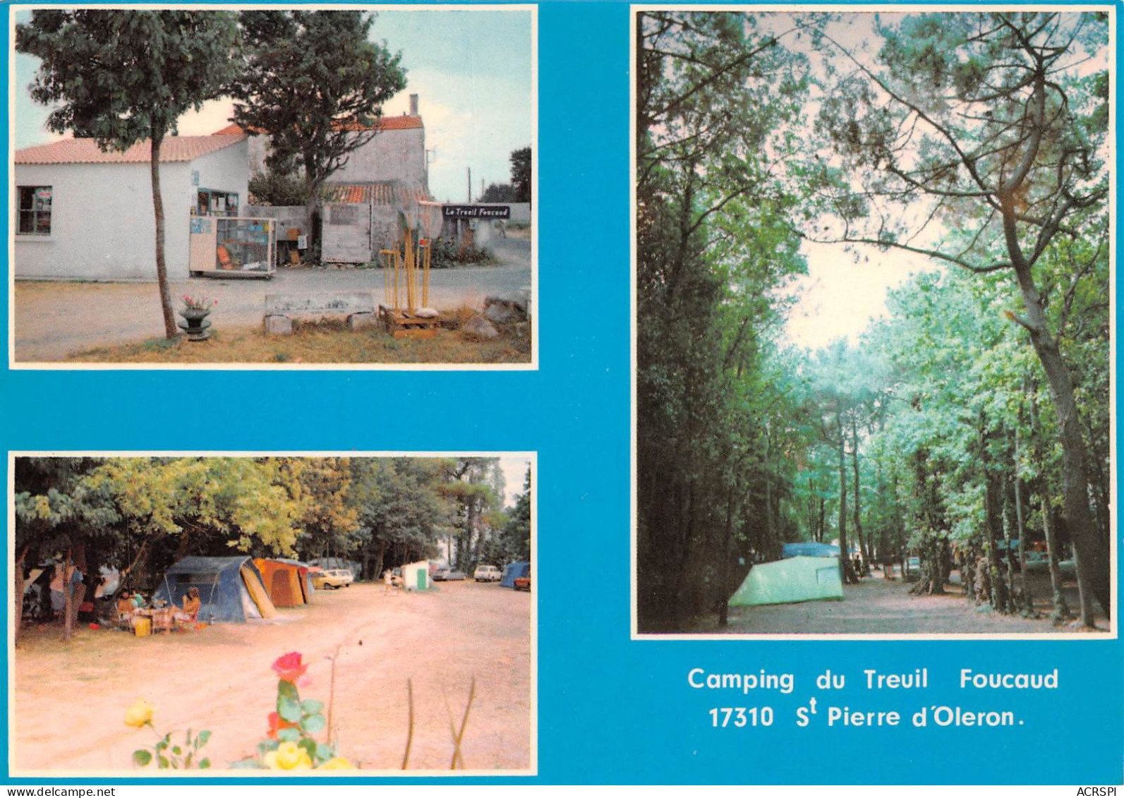 17 île D' Oléron SAINT PIERRE Camping Du Treuil Foucaud Carte Vierge Non Circulé (Scans R/V) N° 60 \ML4069 - Saint-Pierre-d'Oleron