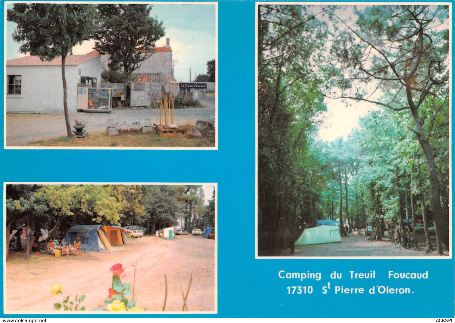 17 île D' Oléron SAINT PIERRE Camping Du Treuil Foucaud  (Scans R/V) N° 58 \ML4069 - Saint-Pierre-d'Oleron