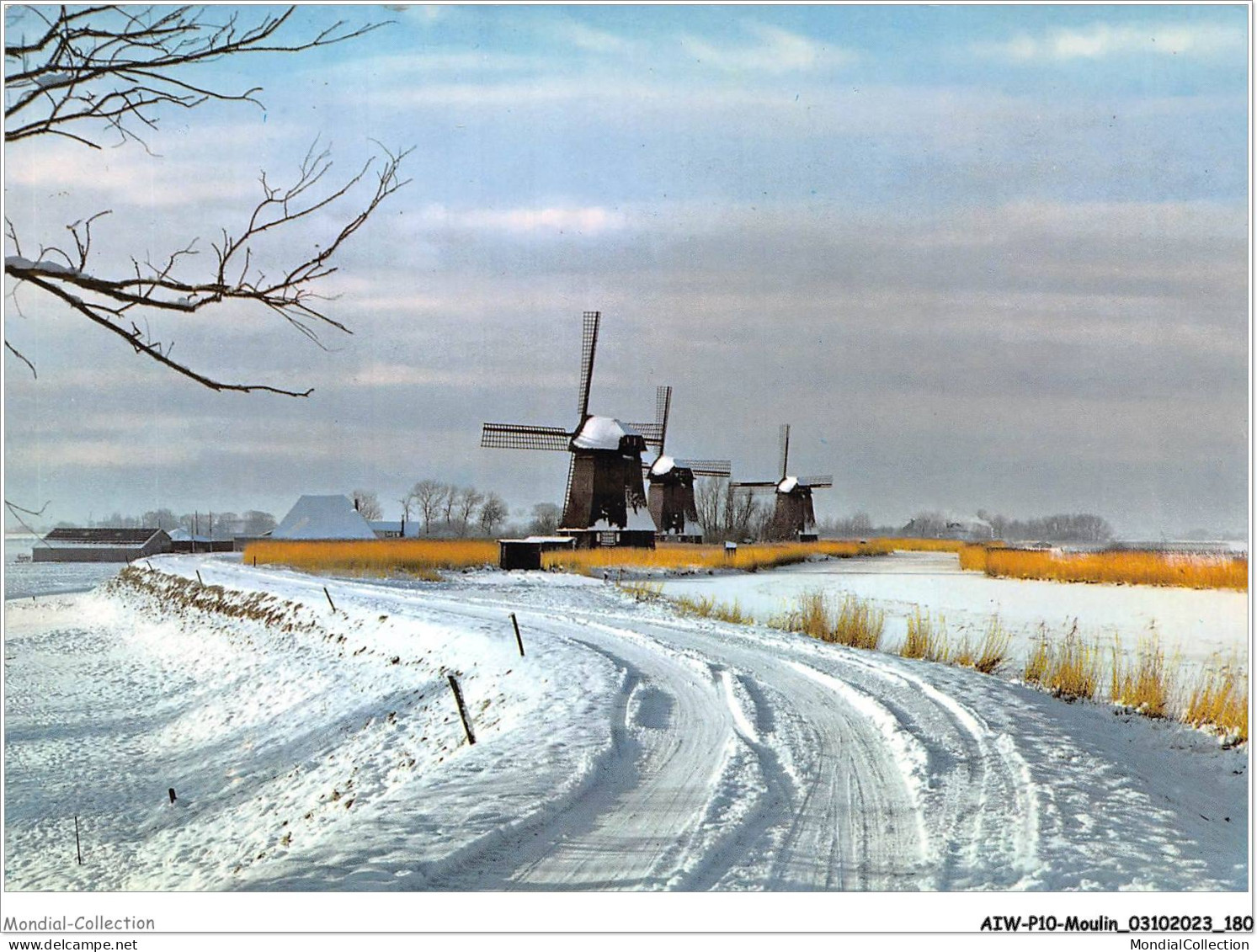 AIWP10-1030 - MOULIN - HOLLAND - WINTERLANDSCHAP - PAYSAGE EN HIVER  - Mulini A Vento