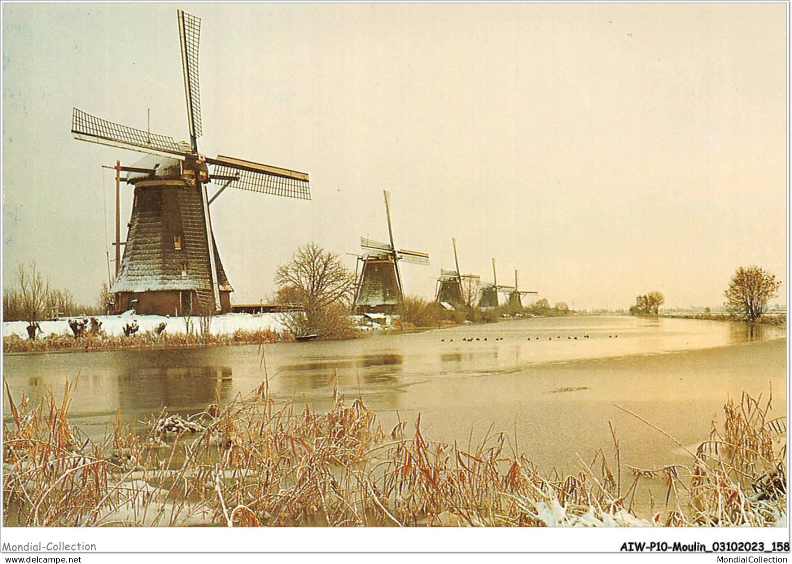 AIWP10-1019 - MOULIN - KINDERDIJK/HOLLAND - POLDERMOLENS VAN HET KINDERDIJK-COMPLEX  - Mulini A Vento