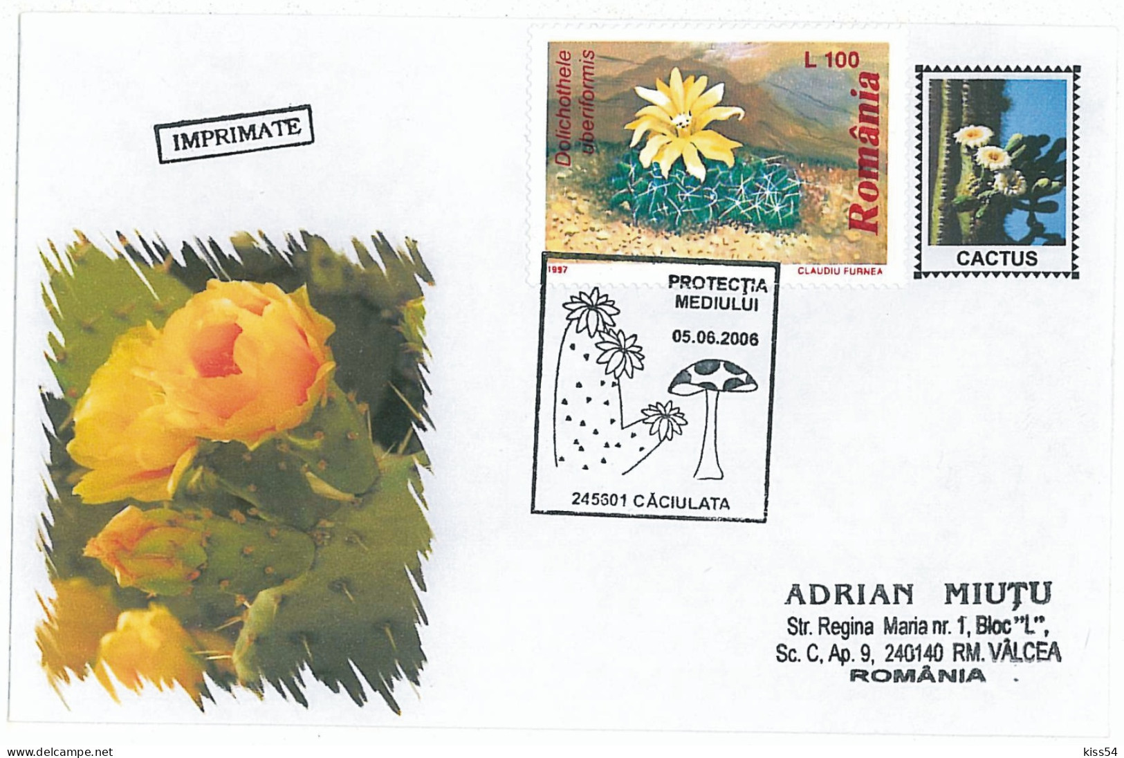 COV 16 - 554 CACTUS, Romania - Cover - Used - 2006 - Cactus