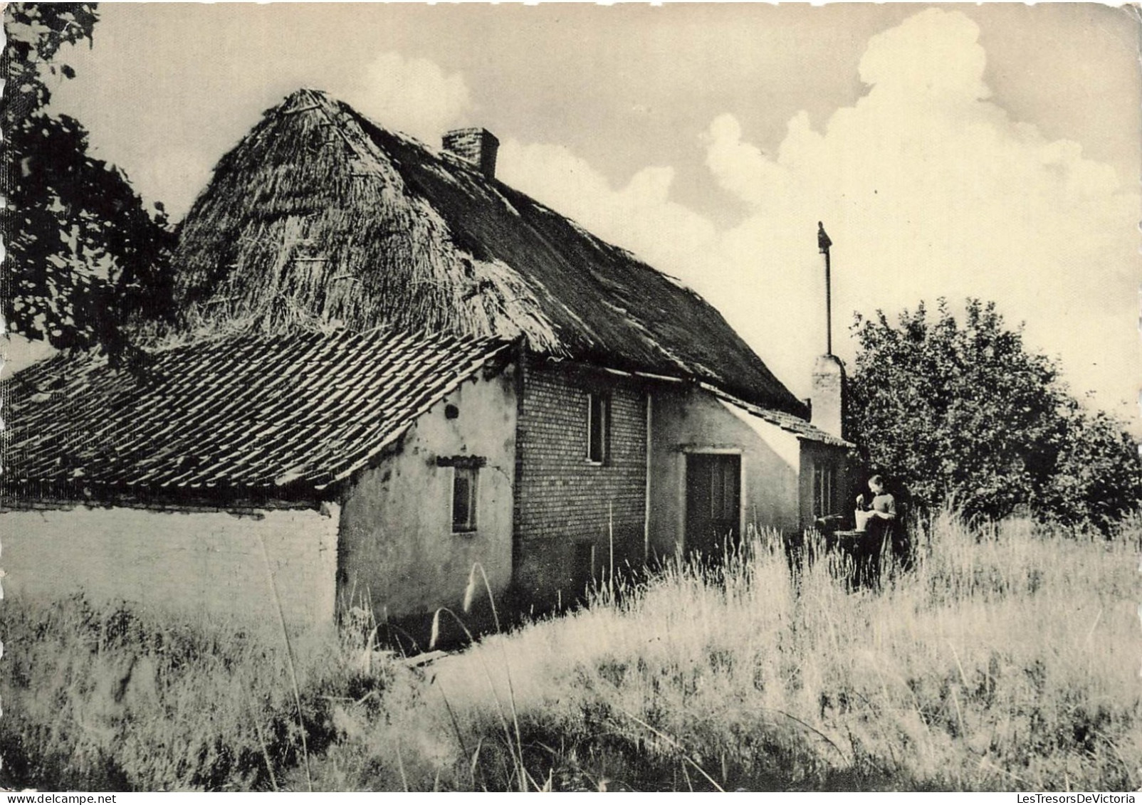 BELGIQUE - Keerbergen - Vieille Chaumière - Carte Postale - Keerbergen