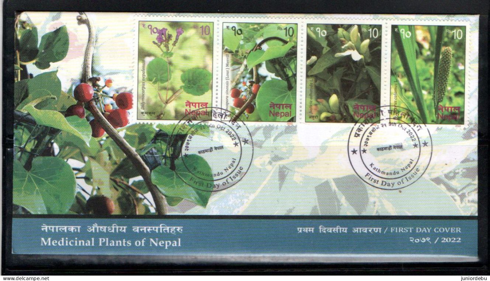 Nepal - 2022 - Medicinal Plants -  FDC, ( OL 30.12.23 ) - Népal