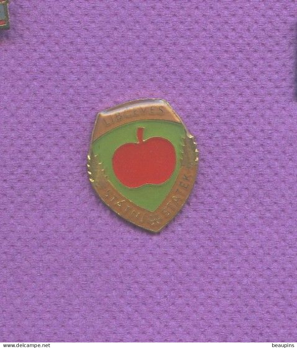 Rare Pins De Fruit Pomme N464 - Levensmiddelen