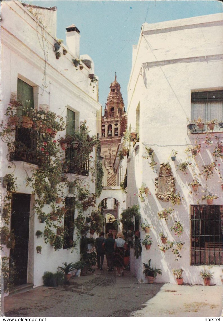 Spanien - Cordoba - The Flower Street - Córdoba