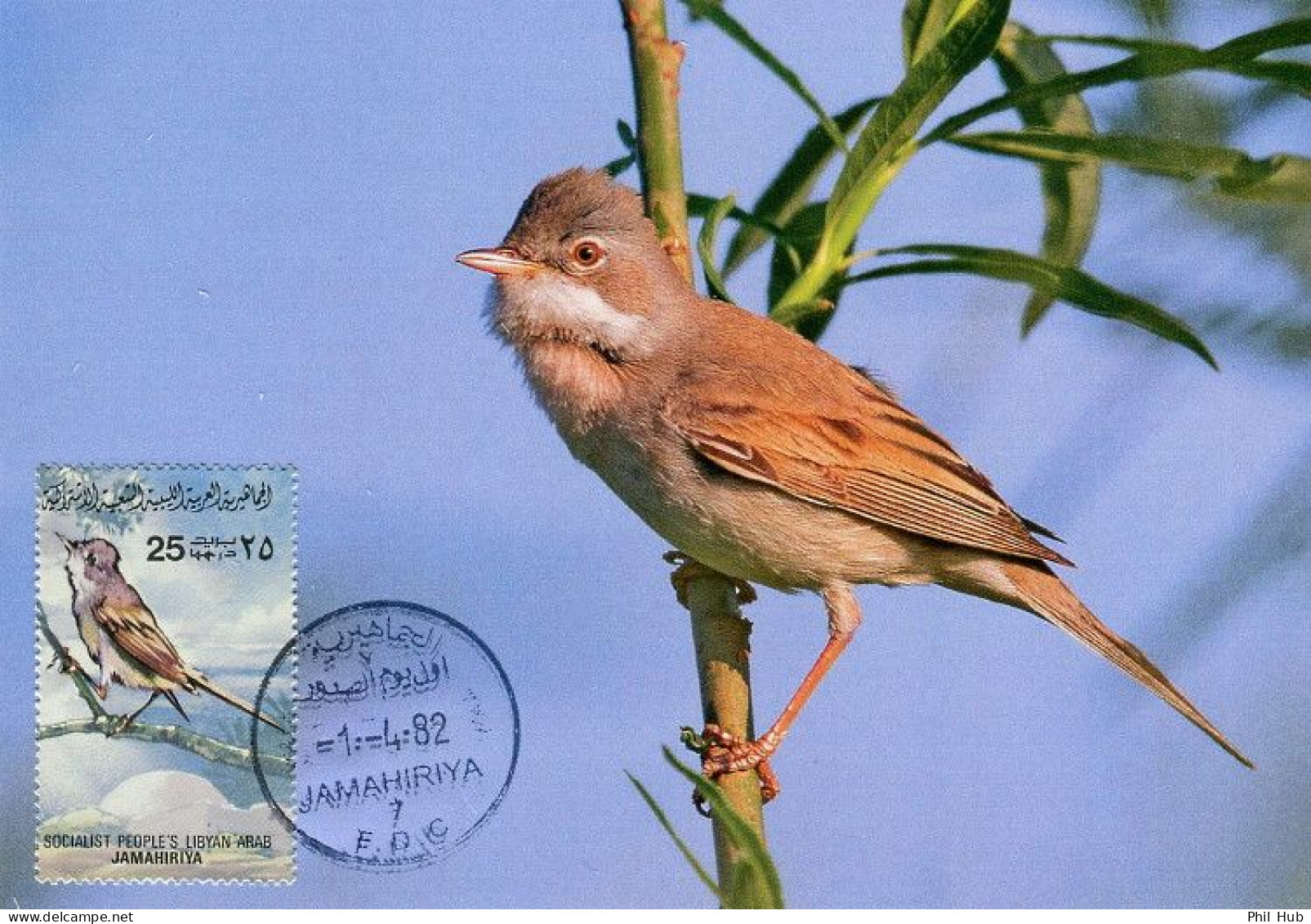 LIBYA 1982 Birds Bird "Common Whitethroat" (maximum-card) #3 - Spatzen