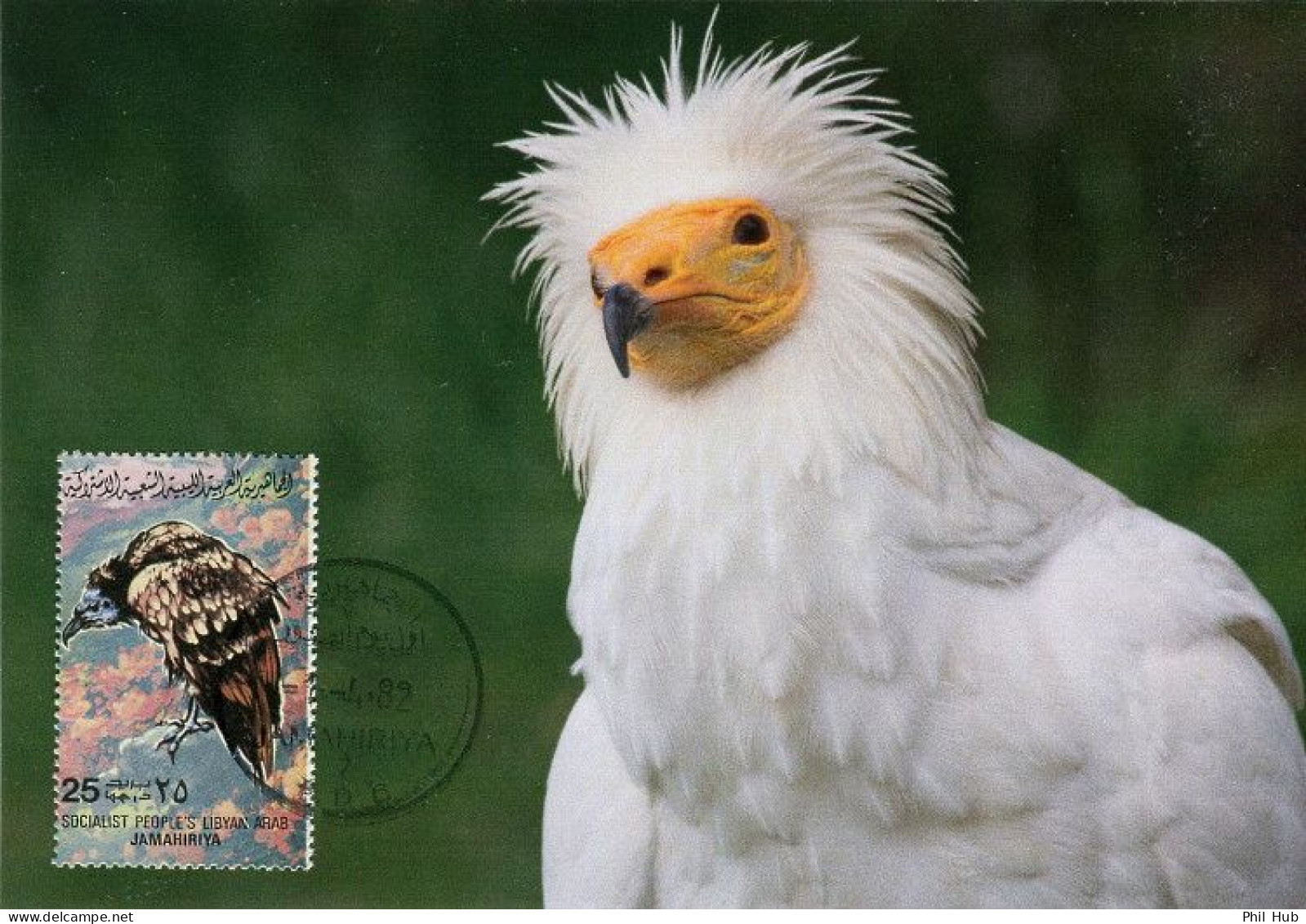 LIBYA 1982 Birds Bird "Egyptian Vulture" (maximum-card) #8 - Aigles & Rapaces Diurnes