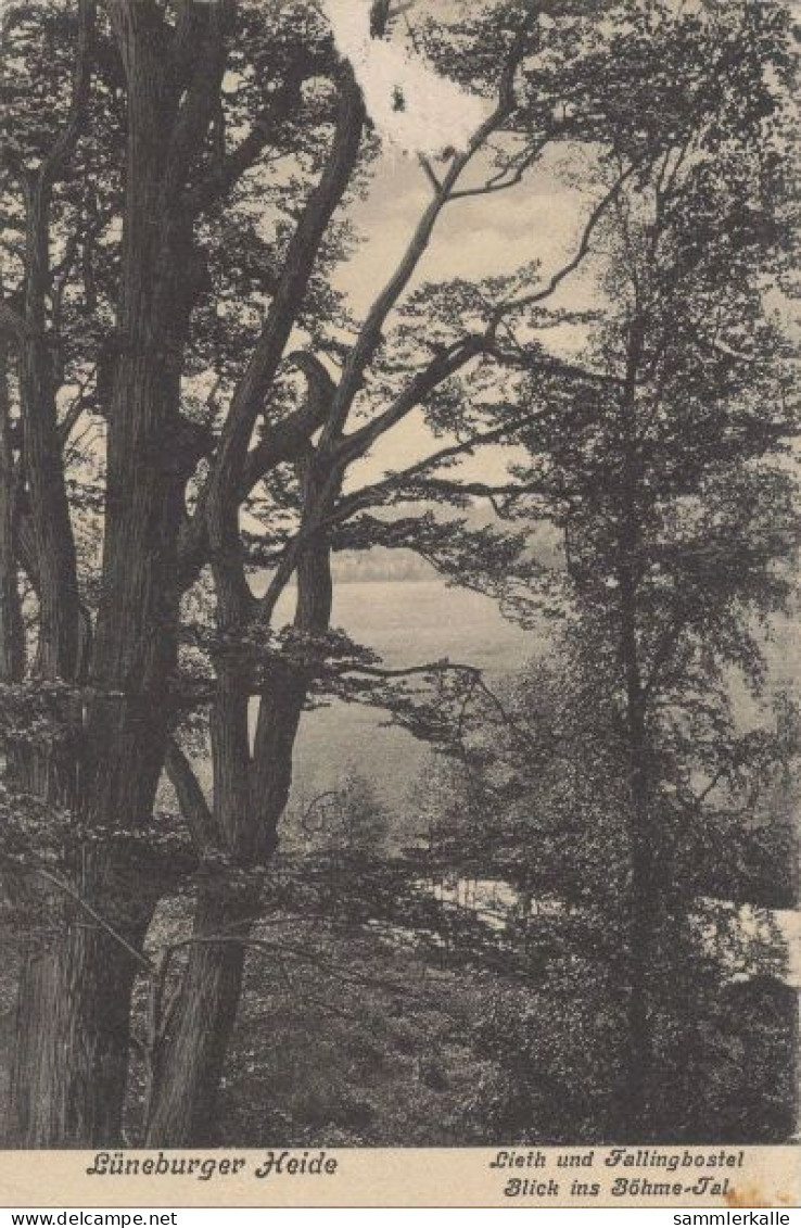 136224 - Lüneburger Heide - Blick Ins Böhne-Tal - Lüneburger Heide